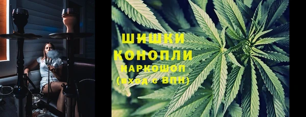 ПСИЛОЦИБИНОВЫЕ ГРИБЫ Алексин